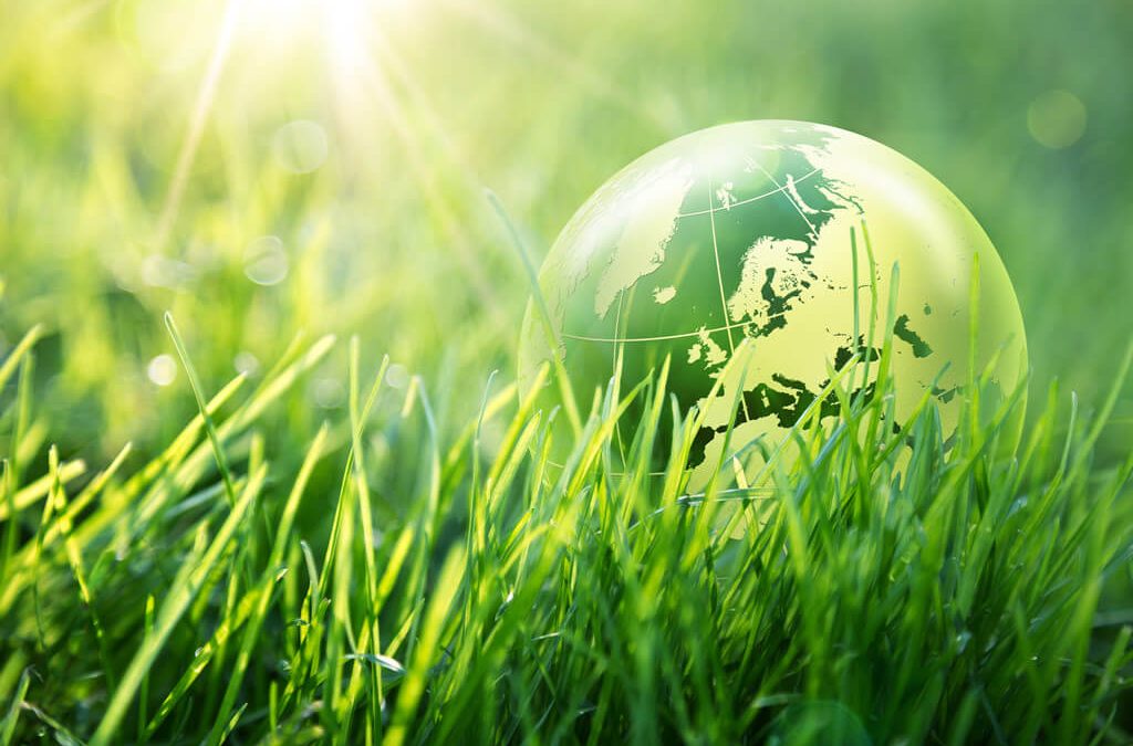 Passion to preserve this prestine planet